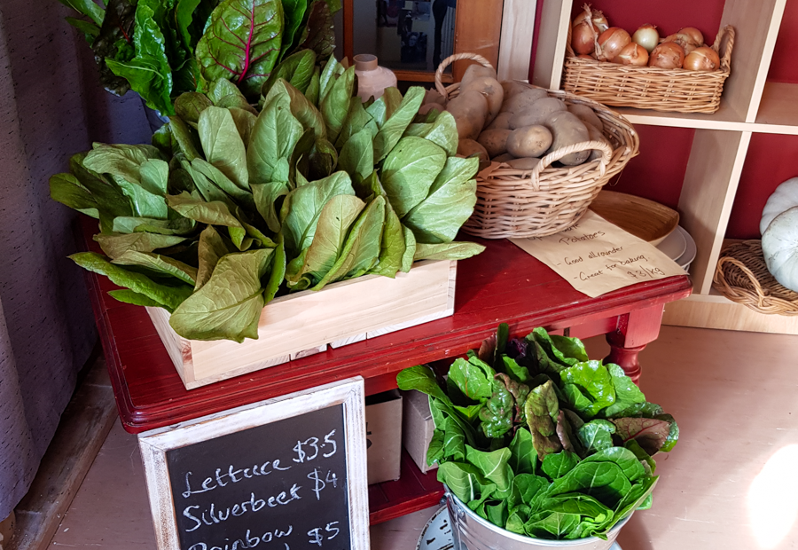 Vegetables on display in shop